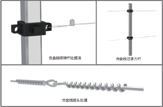 图片10.png